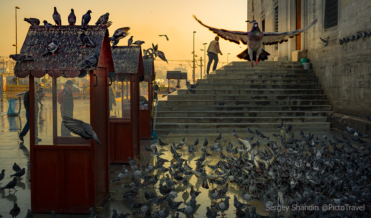 Фотограф Сергей Шандин. Городское. Без названия