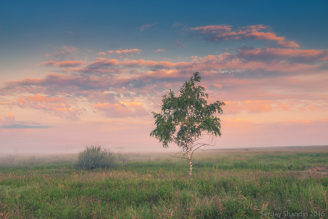 Фотограф Сергей Шандин. Природа. Без названия
